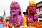 Blumencorso Bild 11