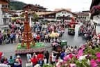 Blumencorso Bild 10