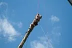 Highlander Games 2011 Bild 9