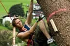 Highlander Games 2011 Bild 77