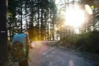 Abendflug an der Möselalm Bild 1