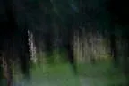 Abendflug an der Möselalm Bild 4