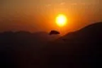 Abendflug an der Möselalm Bild 55