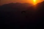 Abendflug an der Möselalm Bild 56