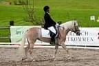 Bundesmeisterschaft Noriker + Haflinger Bild 16