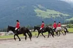 Bundesmeisterschaft Noriker + Haflinger Bild 36