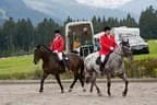 Bundesmeisterschaft Noriker + Haflinger Bild 40