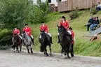 Bundesmeisterschaft Noriker + Haflinger Bild 42