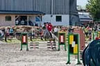 Bundesmeisterschaft Noriker + Haflinger Bild 53