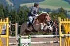 Bundesmeisterschaft Noriker + Haflinger Bild 68