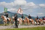 Bundesmeisterschaft Noriker + Haflinger Bild 81