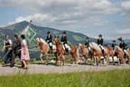 Bundesmeisterschaft Noriker + Haflinger Bild 86