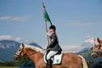 Bundesmeisterschaft Noriker + Haflinger Bild 90