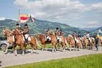Bundesmeisterschaft Noriker + Haflinger Bild 93