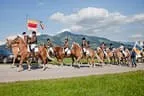 Bundesmeisterschaft Noriker + Haflinger Bild 94