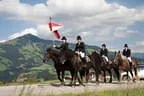 Bundesmeisterschaft Noriker + Haflinger Bild 102