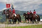Bundesmeisterschaft Noriker + Haflinger Bild 105