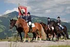 Bundesmeisterschaft Noriker + Haflinger Bild 107