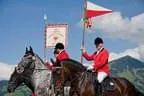 Bundesmeisterschaft Noriker + Haflinger Bild 112