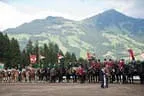 Bundesmeisterschaft Noriker + Haflinger Bild 149