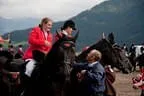 Bundesmeisterschaft Noriker + Haflinger Bild 161
