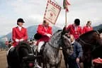 Bundesmeisterschaft Noriker + Haflinger Bild 162