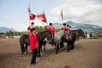 Bundesmeisterschaft Noriker + Haflinger Bild 183