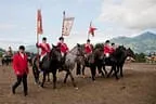 Bundesmeisterschaft Noriker + Haflinger Bild 192