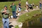 Königfischen Lärchenteich Bild 3