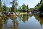 Königfischen Lärchenteich Bild 39