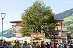 Brixner Almfestl Bild 36
