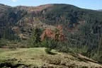 Herbstimpressionen im Windautal Bild 86