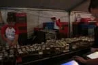 Alpenländischer Musikherbst 2011 Bild 18