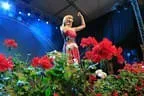 Alpenländischer Musikherbst 2011 Bild 91