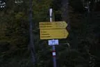 Herbstflug vim Lodron