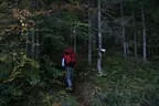 Herbstflug vim Lodron Bild 8