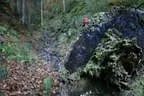Herbstflug vim Lodron Bild 10