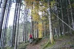 Herbstflug vim Lodron Bild 19