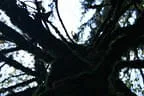 Herbstflug vim Lodron Bild 22