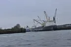 Hafen und Reeperbahn Hamburgs Bild 40