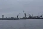 Hafen und Reeperbahn Hamburgs Bild 68