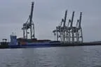 Hafen und Reeperbahn Hamburgs Bild 70