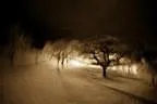 Anno Fotos beim Platzern Bauern von Dez 2011 Bild 16