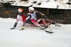 CDR Austria Cup - Naturrodeln - Penningberg Bild 21
