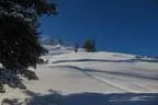 Schitour Beerental und Bamberger Hütte Hopfgarten Bild 16