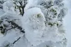 Schitour Beerental und Bamberger Hütte Hopfgarten Bild 26