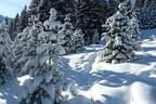 Schitour Beerental und Bamberger Hütte Hopfgarten Bild 31