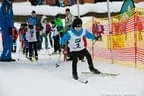 Langlauf TT Landes Cup und Raikabezirks Cup Penningberg Bild 86