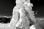 Andere Sichtweisen  Winter-Flug-Aufnahmen Bild 57