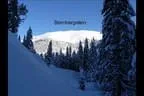 Schitour zum Salzachgeier - Kitzbühler Alpen Bild 10